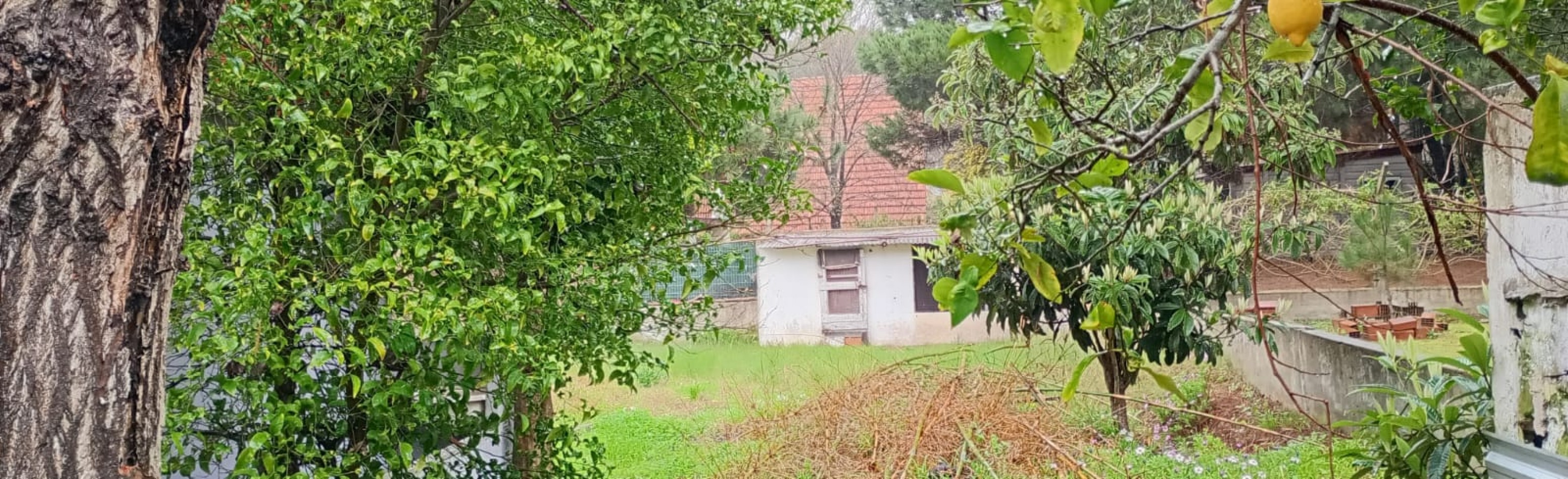 EN BLOCK. CHALET + DPTO + MONOAMBIENTE . 