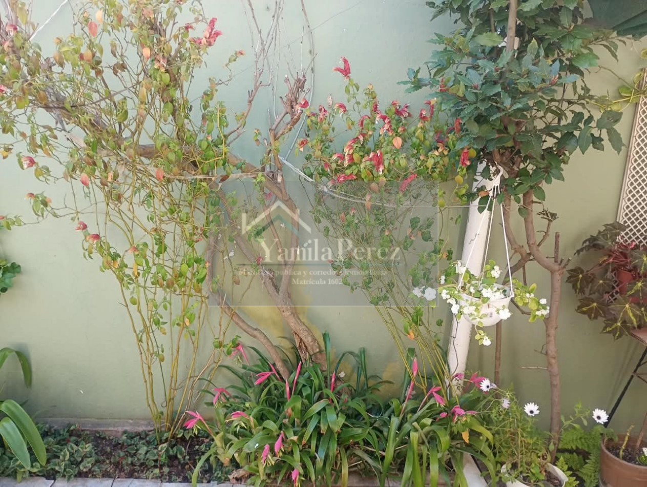 🏡 CHALET EN VENTA - MAR DE AJO - GAS NATURAL